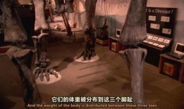 血战恐龙岛在线观看,惊险探险，勇闯史前巨兽世界