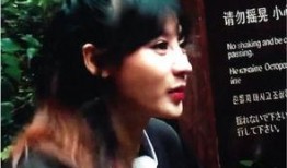 西安整容爆料事件始末视频,真相与争议的漩涡