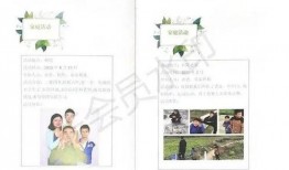 美丽的家教在线观看,探寻美丽背后的智慧之光