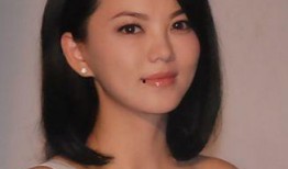 老板爆料李湘视频,老板爆料背后的惊人真相